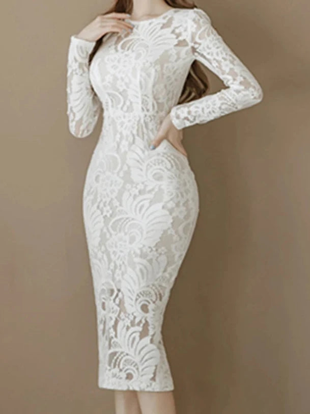 Women's lace long sleeve sheath midi dress